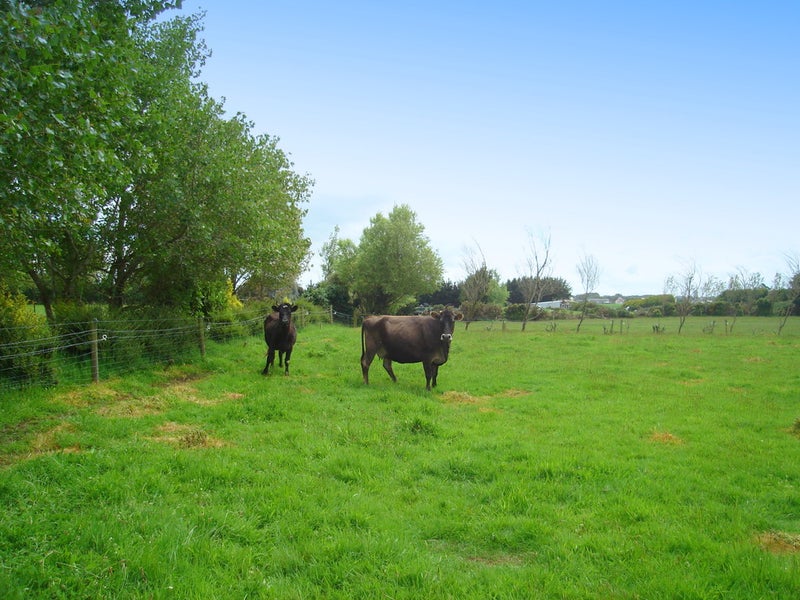 323 Bain Street, Clifton, Invercargill - Carousel 2