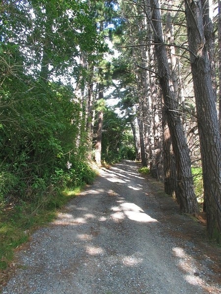 214 Airlie Road, Plimmerton, Porirua - Carousel 2