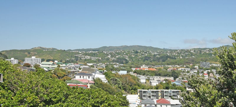 17 Balmoral Terrace, Newtown, Wellington - Carousel 17