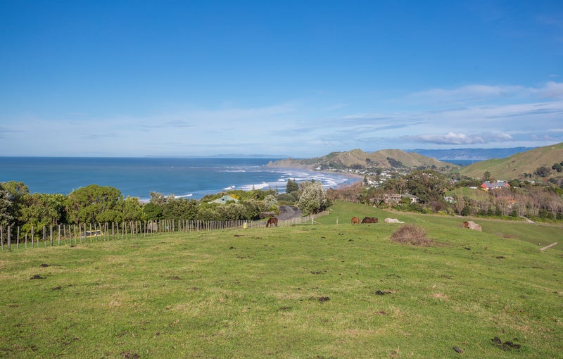 10 Winifred Avenue, Bayview, Auckland - Carousel 2