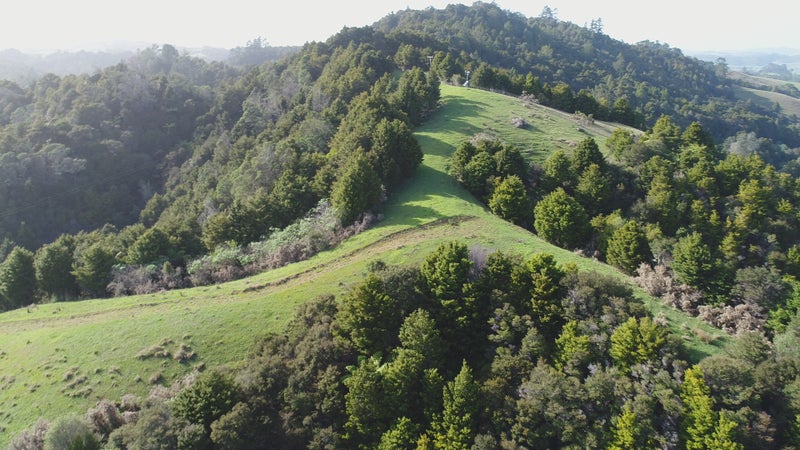 272 Kaiikanui Road, Opuawhanga, Hikurangi - Carousel 16