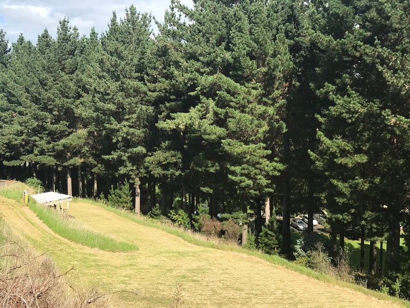 38D Montgomery Road, Westmere, Whanganui - Carousel 2