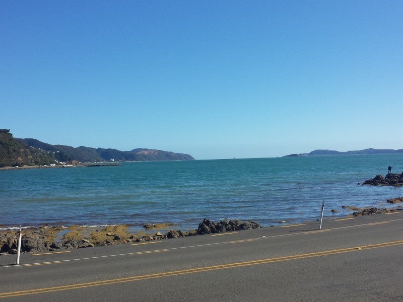 203 Marine Drive, Lowry Bay, Lower Hutt - Carousel 2