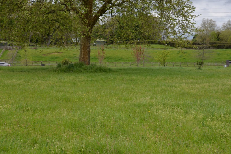 11 Riverside Lane, Karapiro - Carousel 2