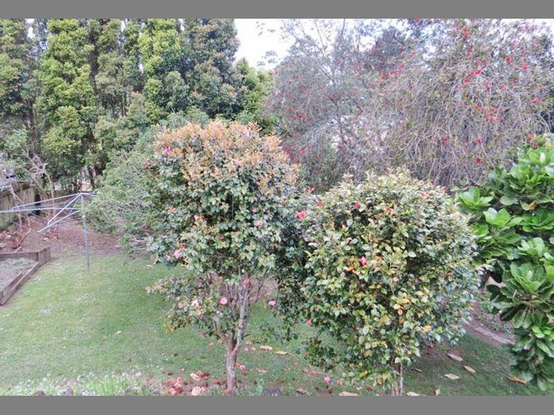 23 Kerria Place, Sunnynook, Auckland - Carousel 8