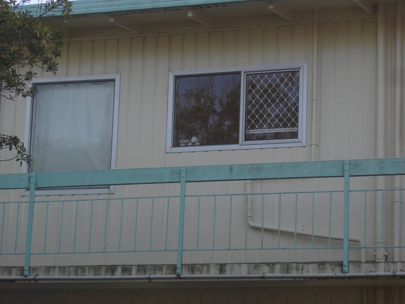 5 Olsen Avenue, Hillsborough, Auckland - Carousel 4