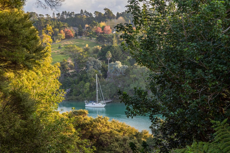 84 Blue Heron Rise, Stanmore Bay, Whangaparaoa - Carousel 29