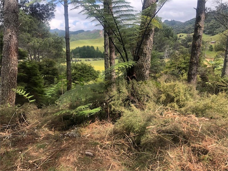 205 Kaimarama Road, Kaimarama, Whitianga - Carousel 2