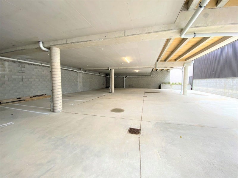 15 Arney Street, Newtown, Wellington - Carousel 12