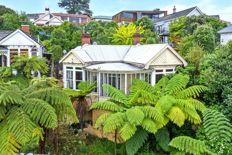 3 Tweed Street, Roslyn, Dunedin - Carousel 1