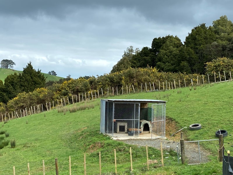 2102 Paparoa Valley Road, Paparoa - Carousel 27