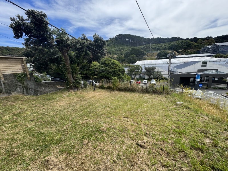 129 Hanson Street, Newtown, Wellington - Carousel 16