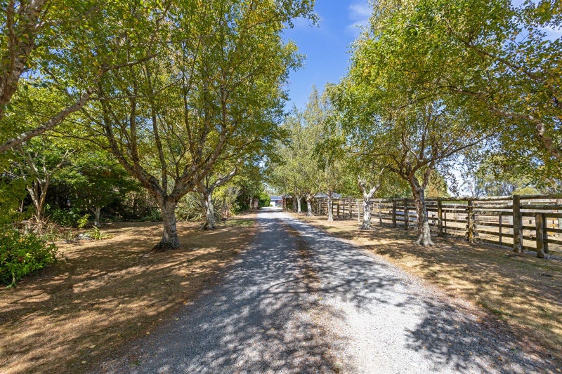 203 West Bush Road, Upper Plain, Masterton - Carousel 22