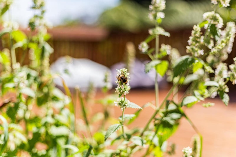 17 Kiriwai Road, Paremata, Porirua - Carousel 28