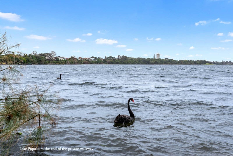 10 Macbeth Court, Milford, Auckland - Carousel 24