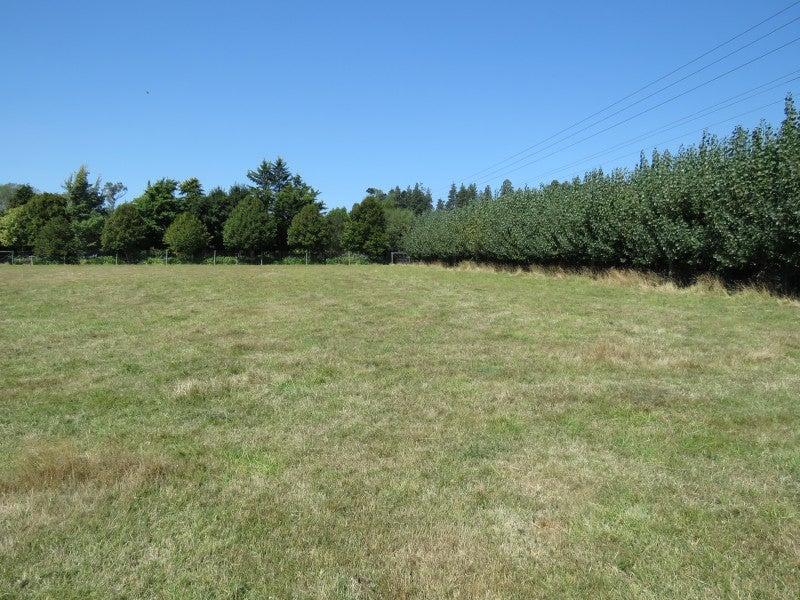 69 BEACH RD, Hampstead, Ashburton - Carousel 8