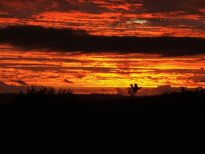 59 Basil Orr Road, Warkworth - Carousel 24