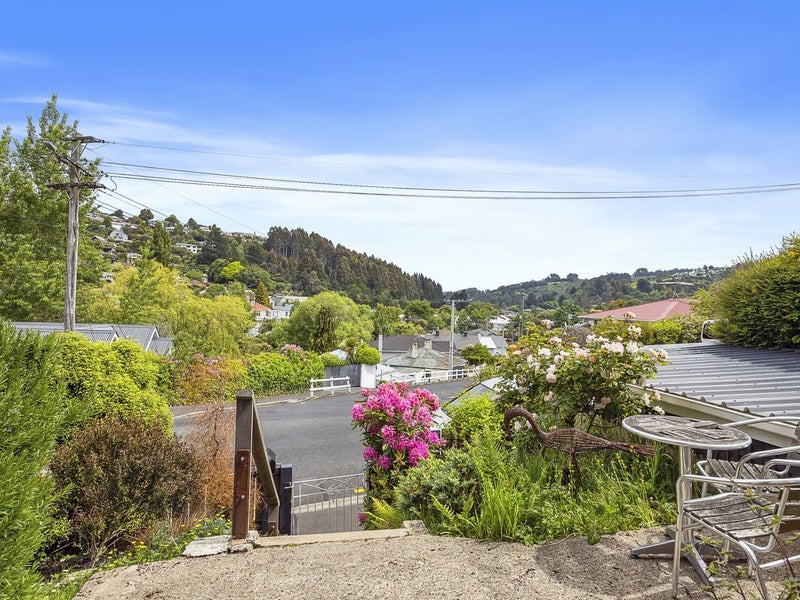 20 County Road, Kaikorai, Dunedin - Carousel 20