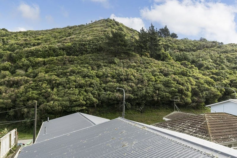 433C Ohiro Road, Brooklyn, Wellington - Carousel 15