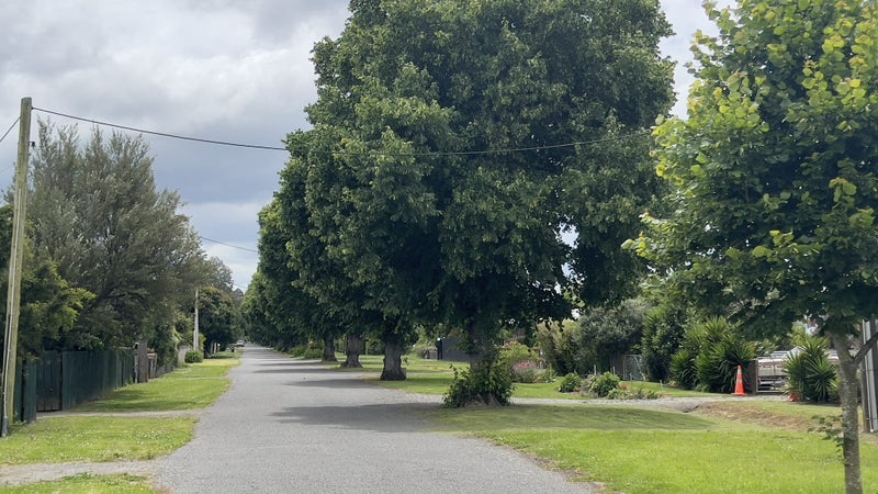 39 Henderson Street, Otane - Carousel 2