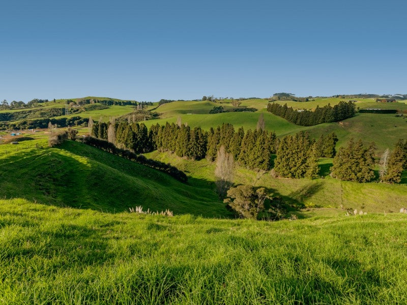 245 Upper Ohauiti Road, Ohauiti, Tauranga - Carousel 11