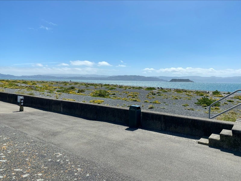 3B Pukatea Street, Eastbourne, Lower Hutt - Carousel 13