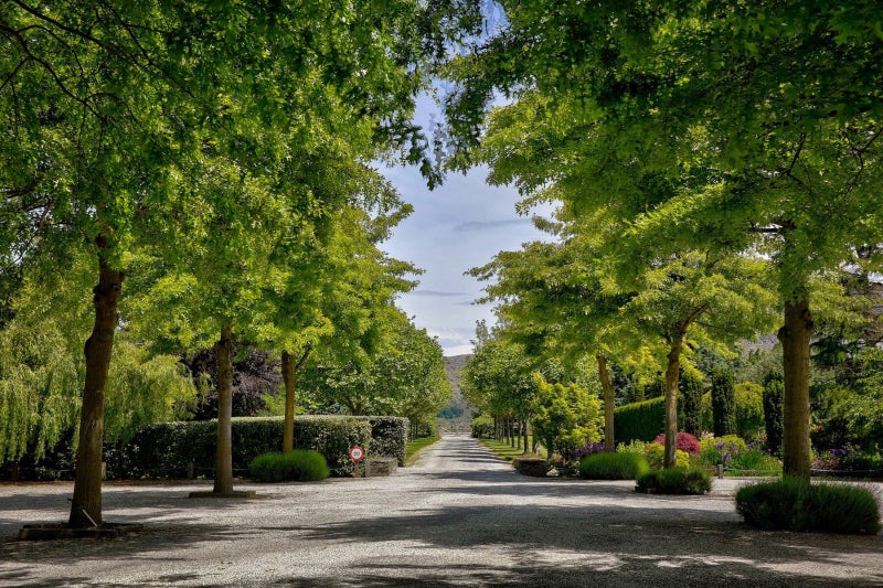 8/188 Domain Road, Queenstown - Carousel 2