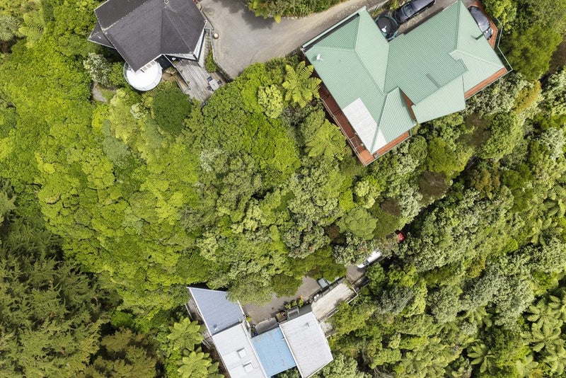 12C Coolidge Street, Brooklyn, Wellington - Carousel 2