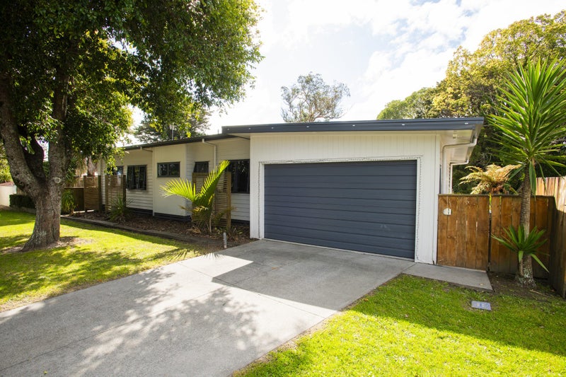 225 Stout Street, Mangapapa, Gisborne - Carousel 1