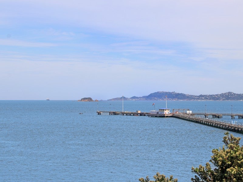 2 Church Lane, Point Howard, Lower Hutt - Carousel 1