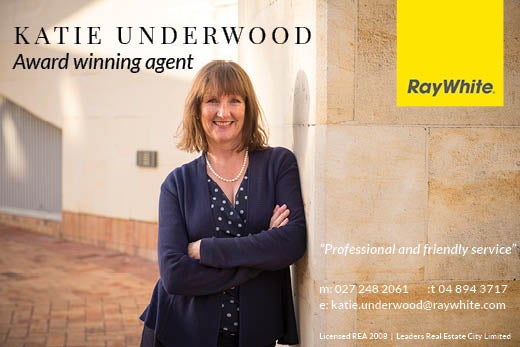 1 Liardet Street, Vogeltown, Wellington - Carousel 18