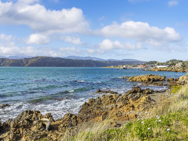 147 Marine Parade, Seatoun, Wellington - Carousel 2