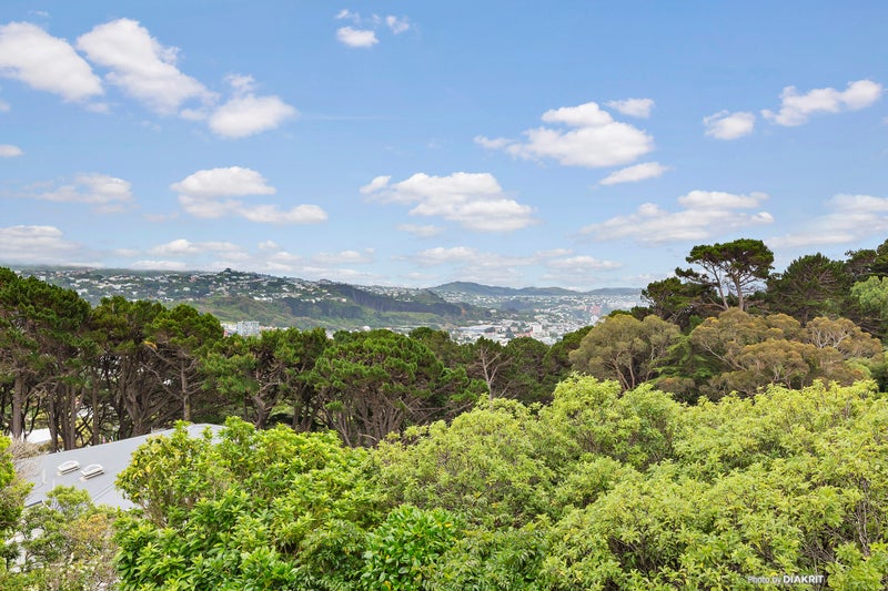 1 Antico Street, Melrose, Wellington - Carousel 13