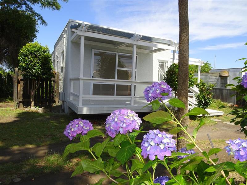 1032 Konini Street, Mahora, Hastings - Carousel 1