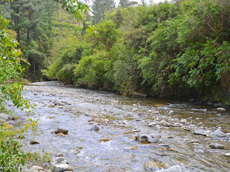 2406 Akatarawa Road, Akatarawa Valley, Upper Hutt - Carousel 2