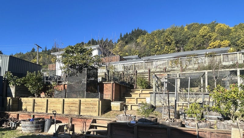 73A Milton Terrace, Picton - Carousel 16