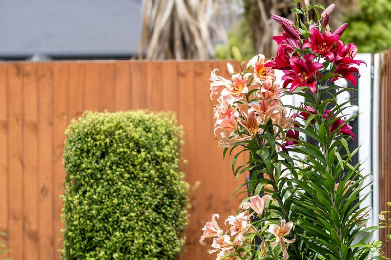 18 Vasari Grange, Rolleston, Rolleston - Carousel 24