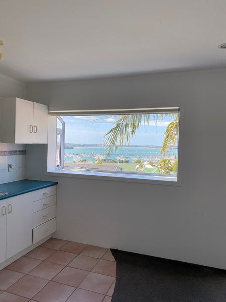 1C Caroline Street, Saint Marys Bay, Auckland - Carousel 2