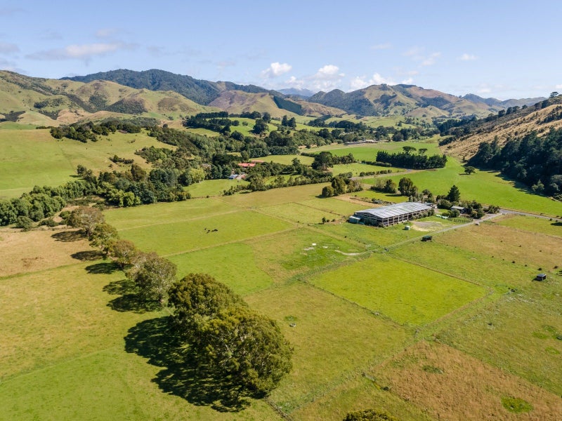 89 Hinau Gully Road, Carrington - Carousel 20