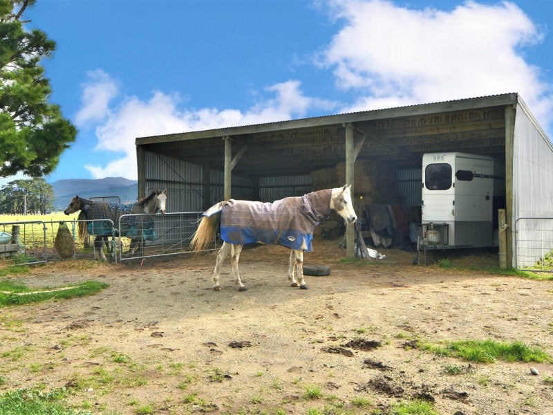 56 Watersons Line, Dalefield - Carousel 2