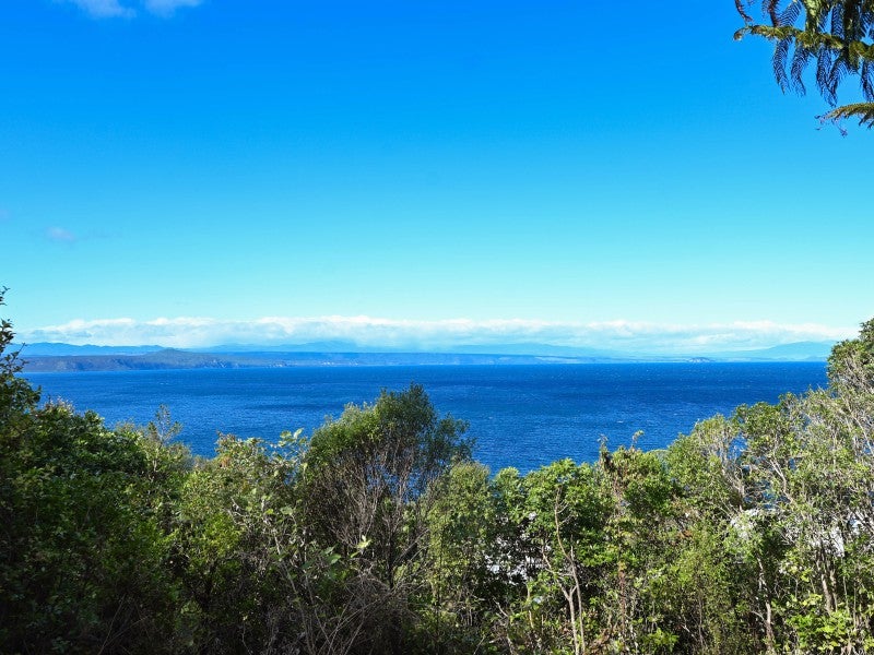 45 Whakamoenga Point, Acacia Bay, Taupo - Carousel 1