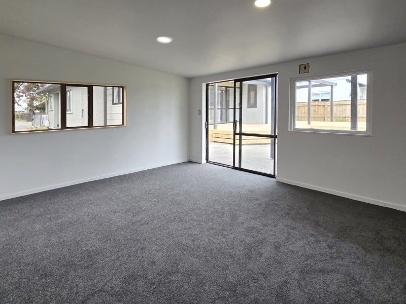 1020 Konini Street, Mahora, Hastings - Carousel 17