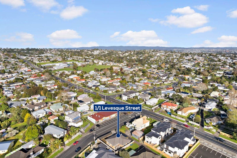 1/1 Levesque Street, Birkdale, Auckland - Carousel 17