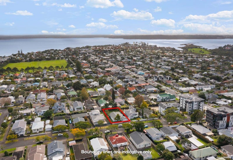 13 Miller Street, Point Chevalier, Auckland - Carousel 13