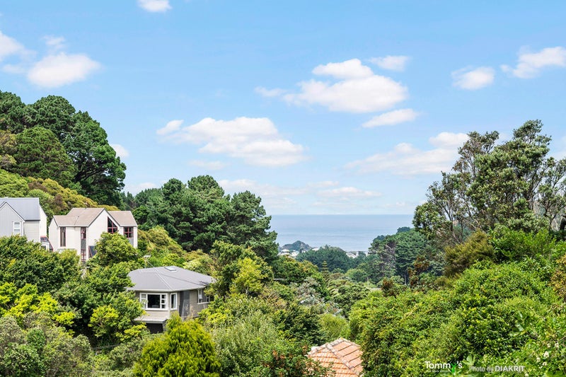 12 Liardet Street, Vogeltown, Wellington - Carousel 2