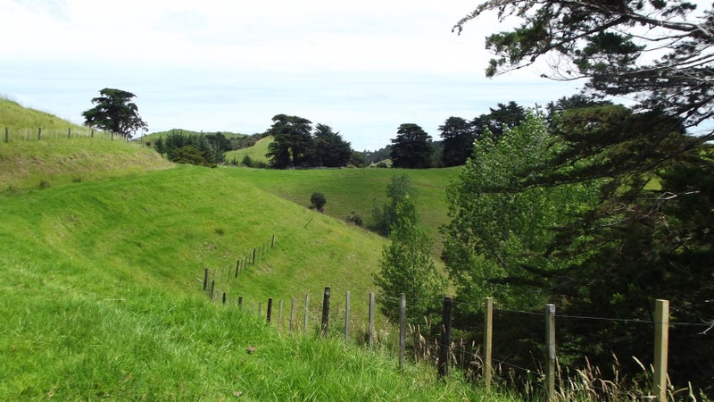 508 Matapouri Road, TUTUKAKA, WHANGAREI - Carousel 2