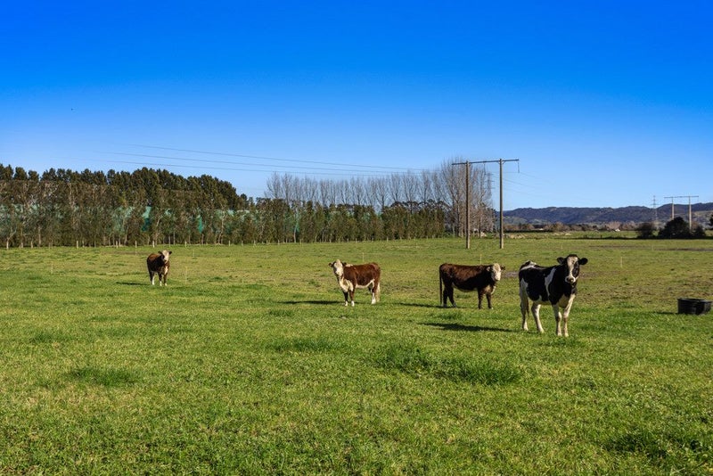 24 Willow Lane, Edgecumbe, Whakatane - Carousel 23