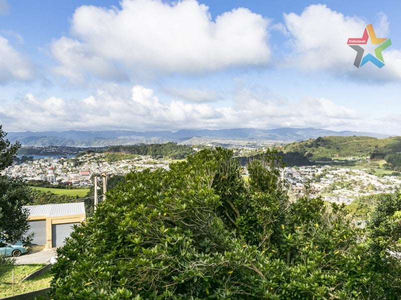 17 Havelock Street, Mornington, Wellington - Carousel 18