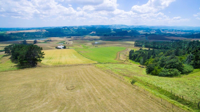 443B Murray Road, Tuakau - Carousel 2