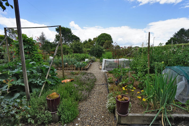 225 Pencarrow Road, Tamahere - Carousel 30